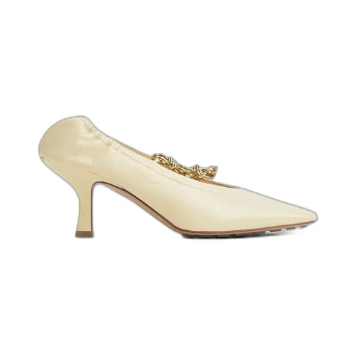 Sharp Chain Pump