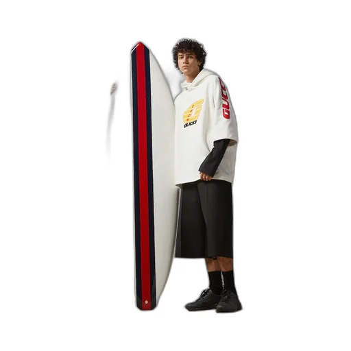 Web surfboard