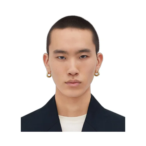 Fin Earrings