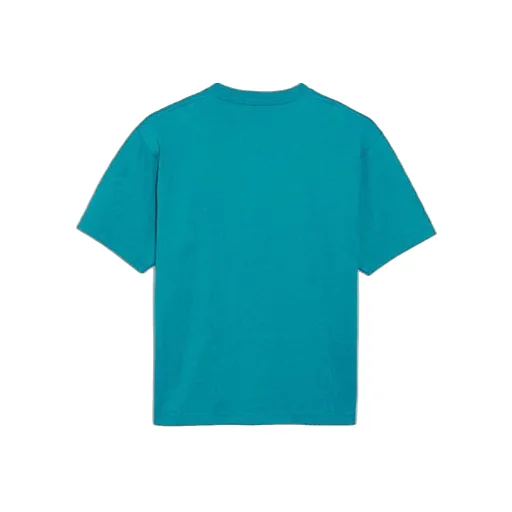 Paris Flag T-Shirt