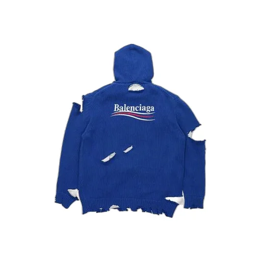 Political Campaign Destroyed Hoodie