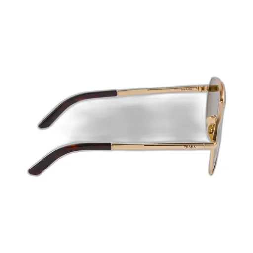 Sunglasses with iconic metal plaque