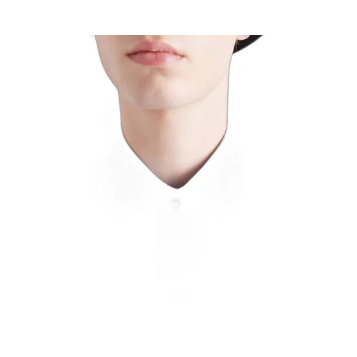 Stretch Poplin Shirt