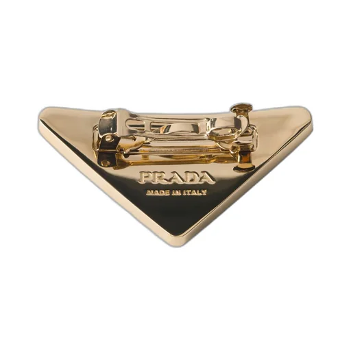 Plexiglas and metal hair clip