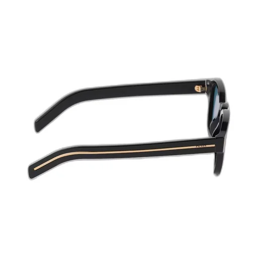 Sunglasses with iconic metal plaque