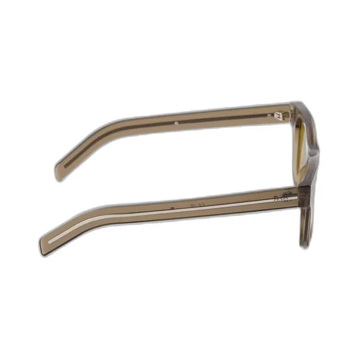Sunglasses with iconic metal plaque