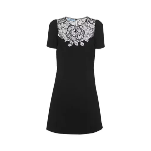 Cady and lace mini-dress