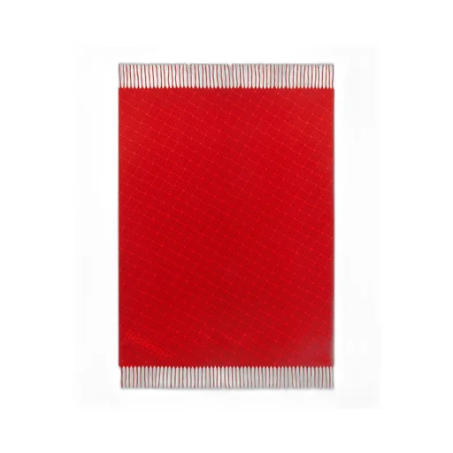 Cashmere Blanket With Intreccio Motif