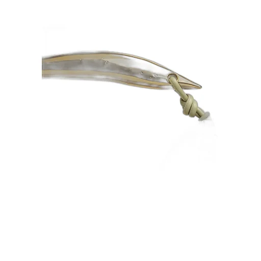 Sardine