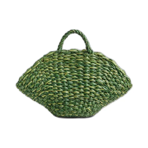 Large Clam
