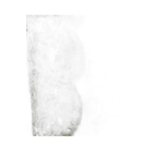 Viscose Cropped Pants With Lace Embroidery