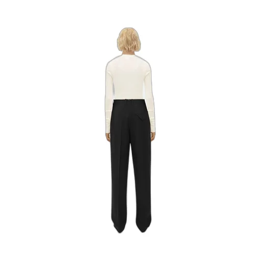 Light Wool Wide Leg Pants