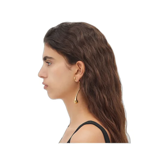 Drop Earrings