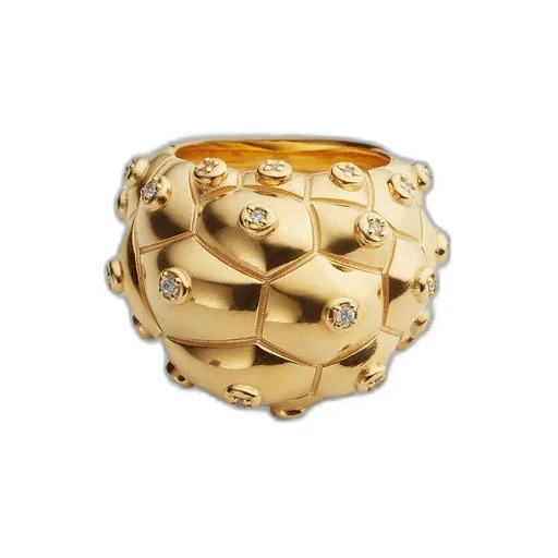 Drop Ring