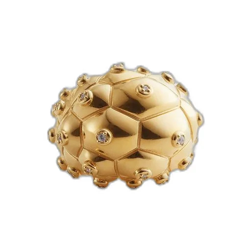 Drop Ring