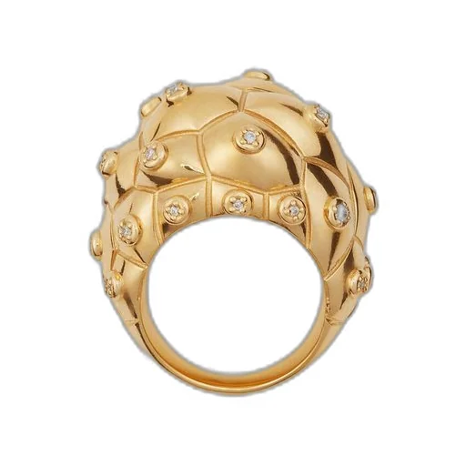 Drop Ring