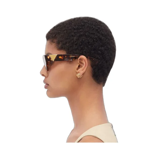 Angle Acetate Cat-Eye Sunglasses