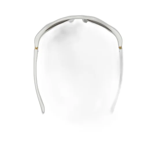 Curve Sporty Cat Eye Injected Acetate Sunglasses