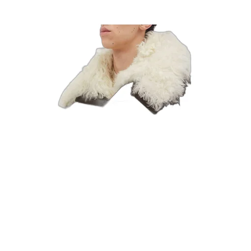 Wool And Shearling Parka