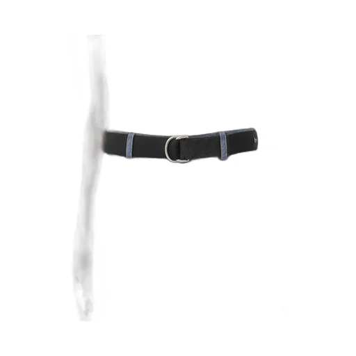 Webbing Nastro Belt