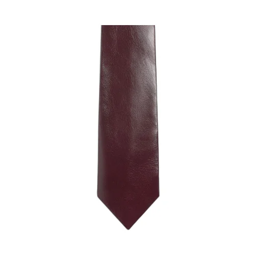 Shiny Leather Tie