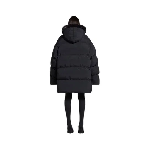 Hooded Puffer