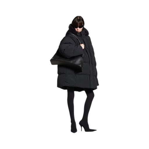 Hooded Puffer