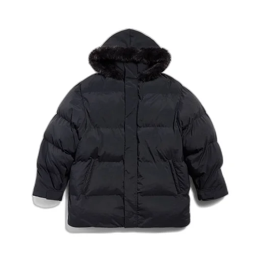 Hooded Puffer