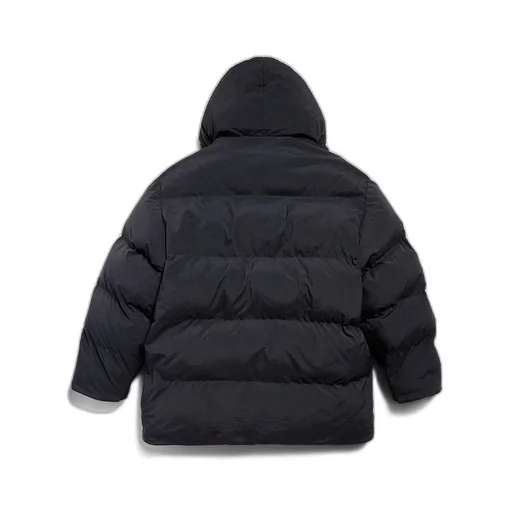 Hooded Puffer