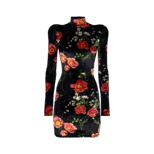 Floral Printing Velvet Dress