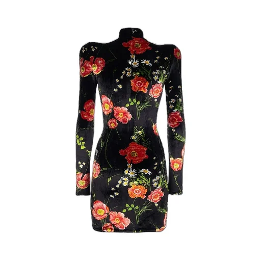 Floral Printing Velvet Dress