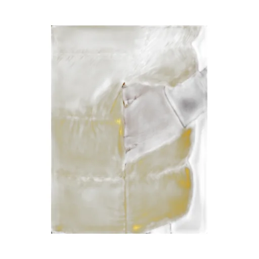 Sealed Vest