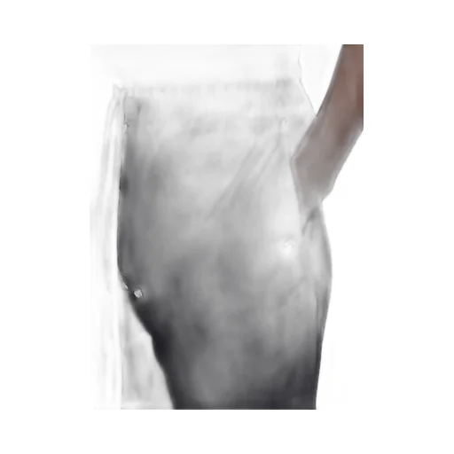 Bela Boxers