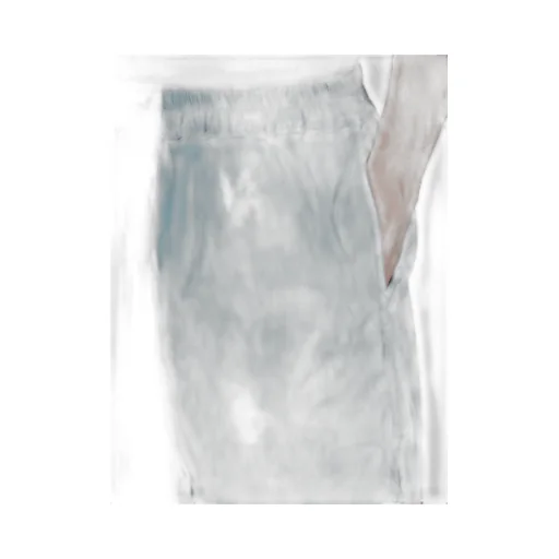 Boxers