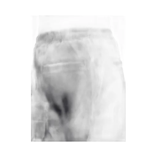 Cargobela Shorts