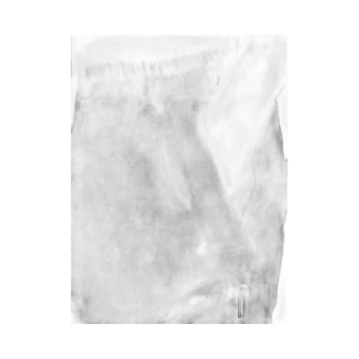 Bauhaus Shorts