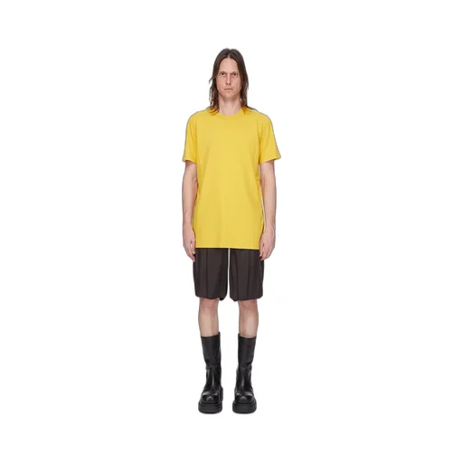 Level T