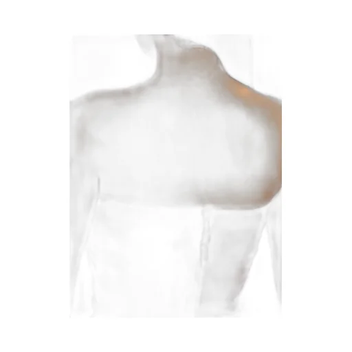 Bustier Mini