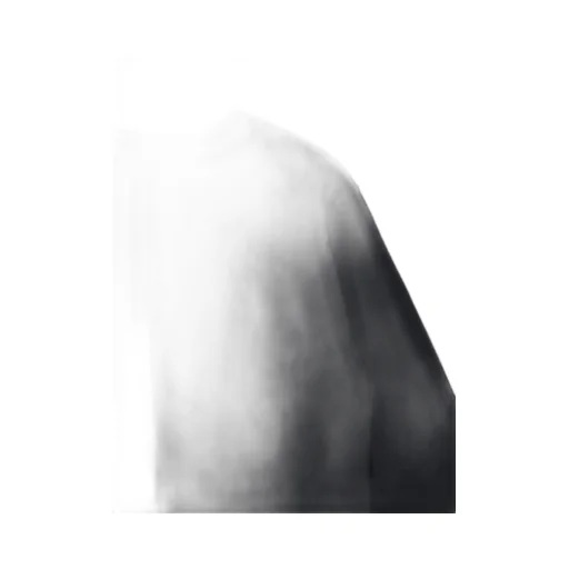 Ls Level T