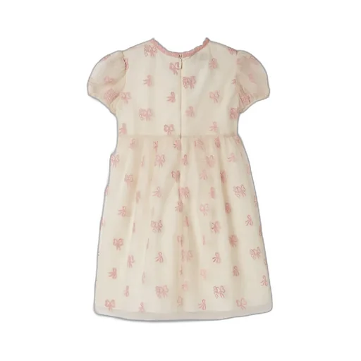 Children's Embroidered Tulle Dress