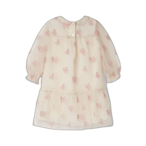 Baby Embroidered Tulle Dress