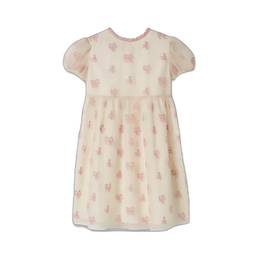 Children's Embroidered Tulle Dress