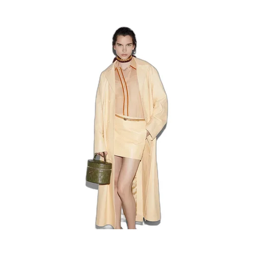 Light Silk Georgette Shirt