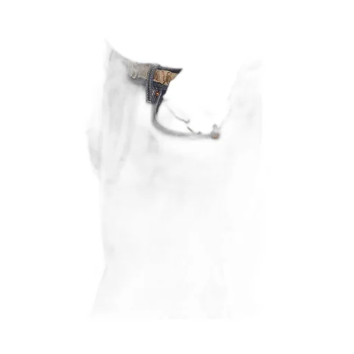 Silk Georgette Top