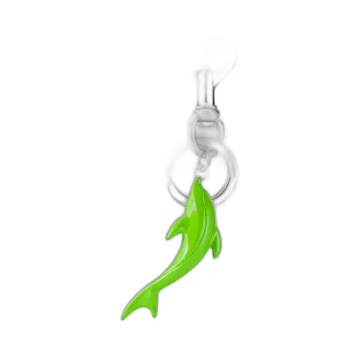 Engraved Dolphin Keychain Charm