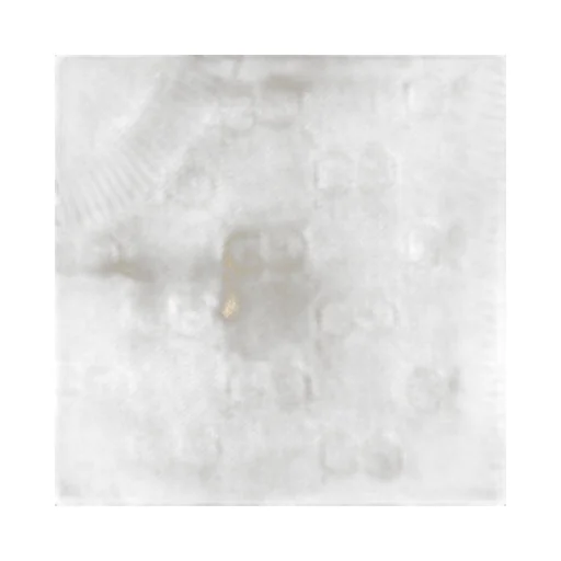 Fine Gg Cotton Sleeveless Top