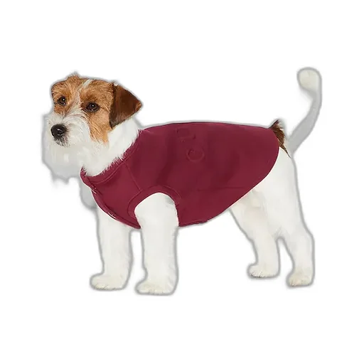 Embossed Cotton Pet Sweatshirt
