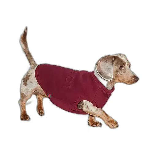 Embossed Cotton Pet Sweatshirt