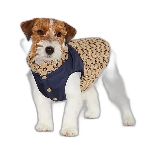 Reversible Gg Pet Coat