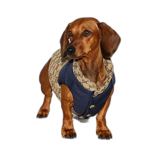 Reversible Gg Pet Coat